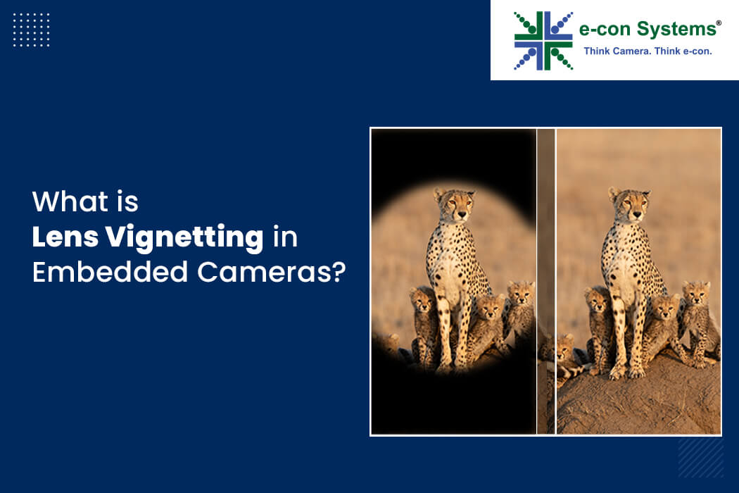 What is Lens Vignetting in Embedded Cameras