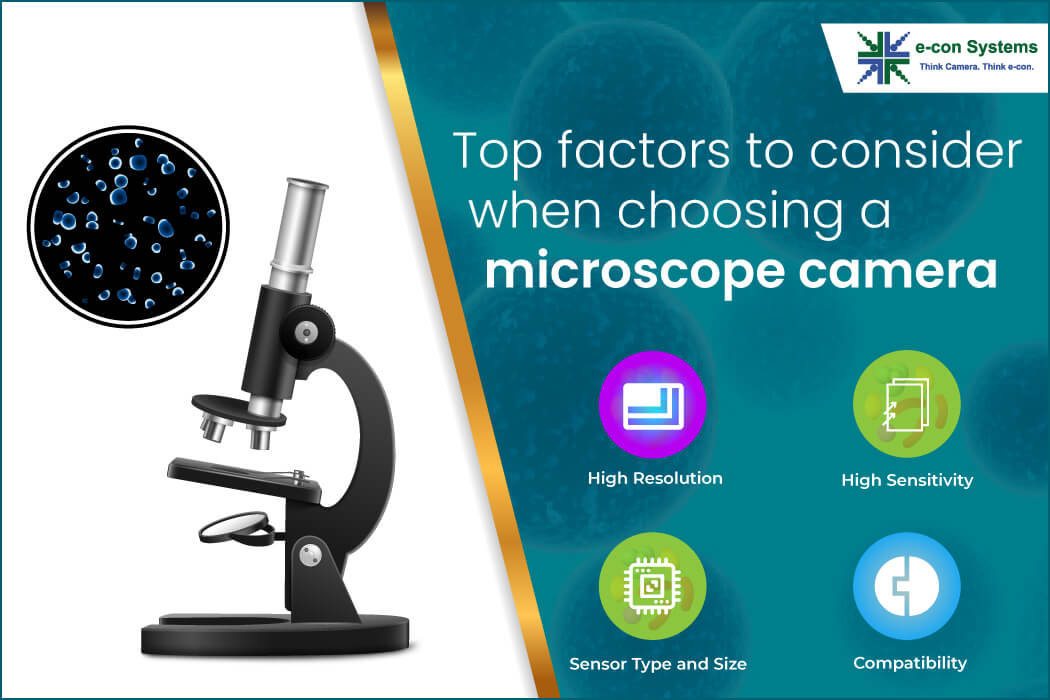 How do you choose the correct digital microscope camera?