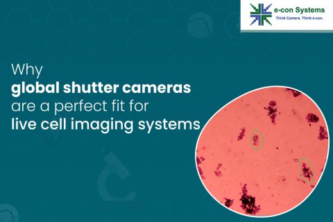 https://www.e-consystems.com/blog/camera/wp-content/uploads/2023/04/Why-global-shutter-cameras-are-a-perfect-fit-for-live-cell-imaging-systems-480x320.jpg