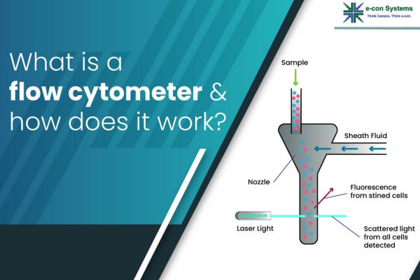 What is a flow cytometer and how does it work? - e-con Systems