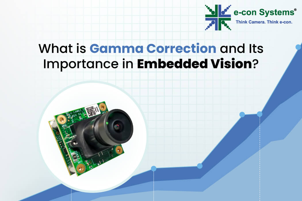 What is Gamma Correction and Its Importance in Embedded Vision