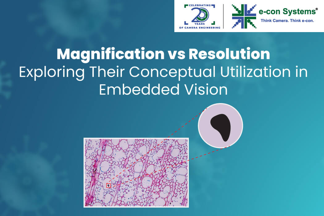 Magnification vs Resolution: Exploring Their Conceptual Utilization in Embedded Vision