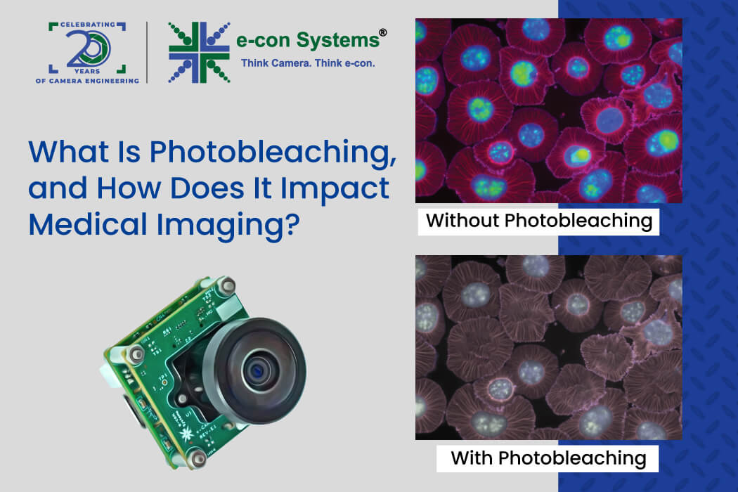 What Is Photobleaching, and How Does It Impact Medical Imaging?