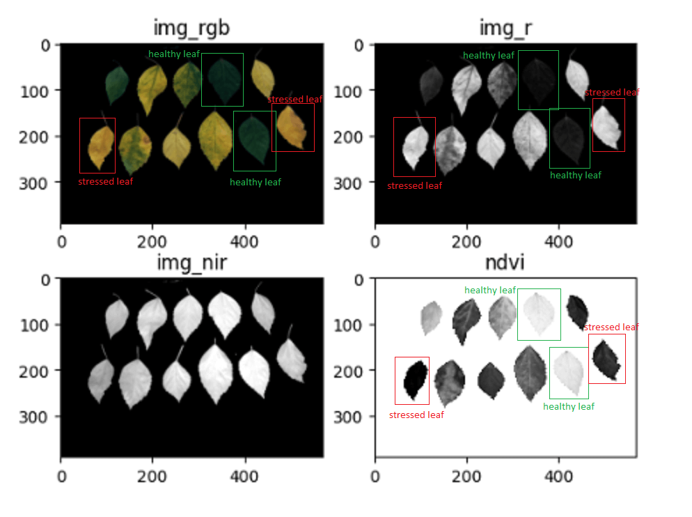 The image illustrates the detection of leaf stress. The stressed leaves typically have a lower value (towards red) and the healthy leaves have a higher value (towards green).