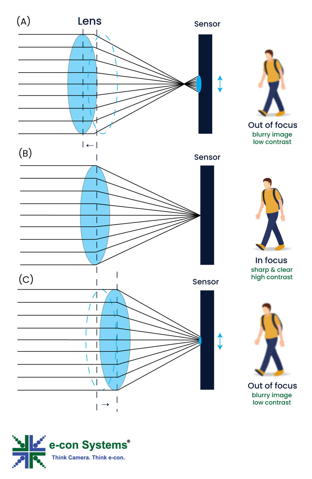 In-Focus and Out-of-Focus Images