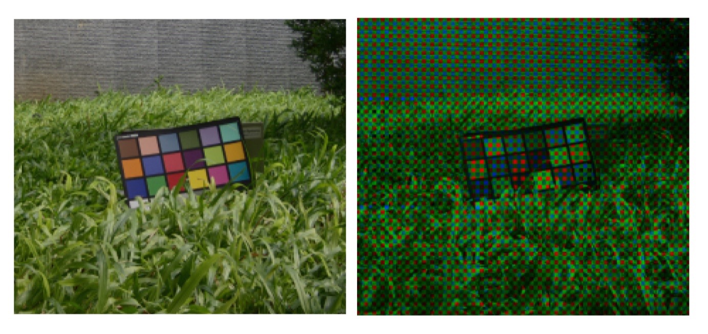 (a) Original Image (at 200%). (b)What Your Camera Sees a Through Bayer Array