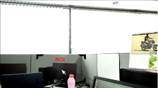 ROI in Exposure Control